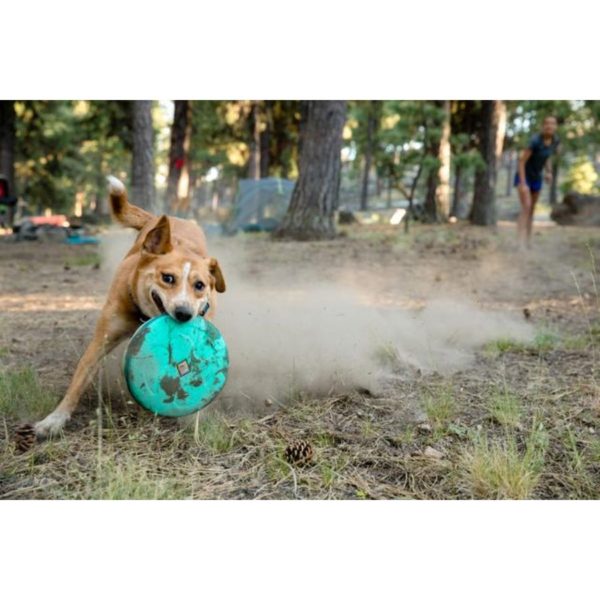 Ruffwear Hover Flying Disc Aurora Teal Lifestyle